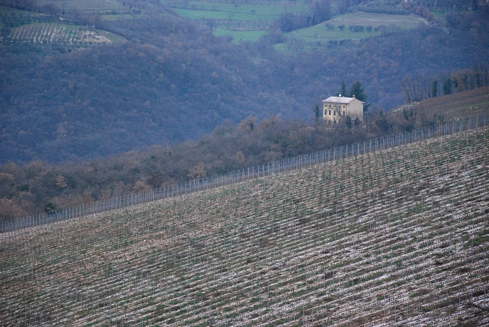 Wijngaarden in de Valpolicella op de heuvels achter het Gardameer